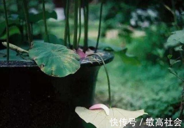 人家庭#爷爷说:为人处世,这四件事是“杀人不见血的刀”,要放下