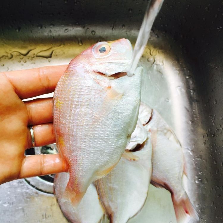 香煎孜然红绸鱼,整屋飘香,全家都爱吃