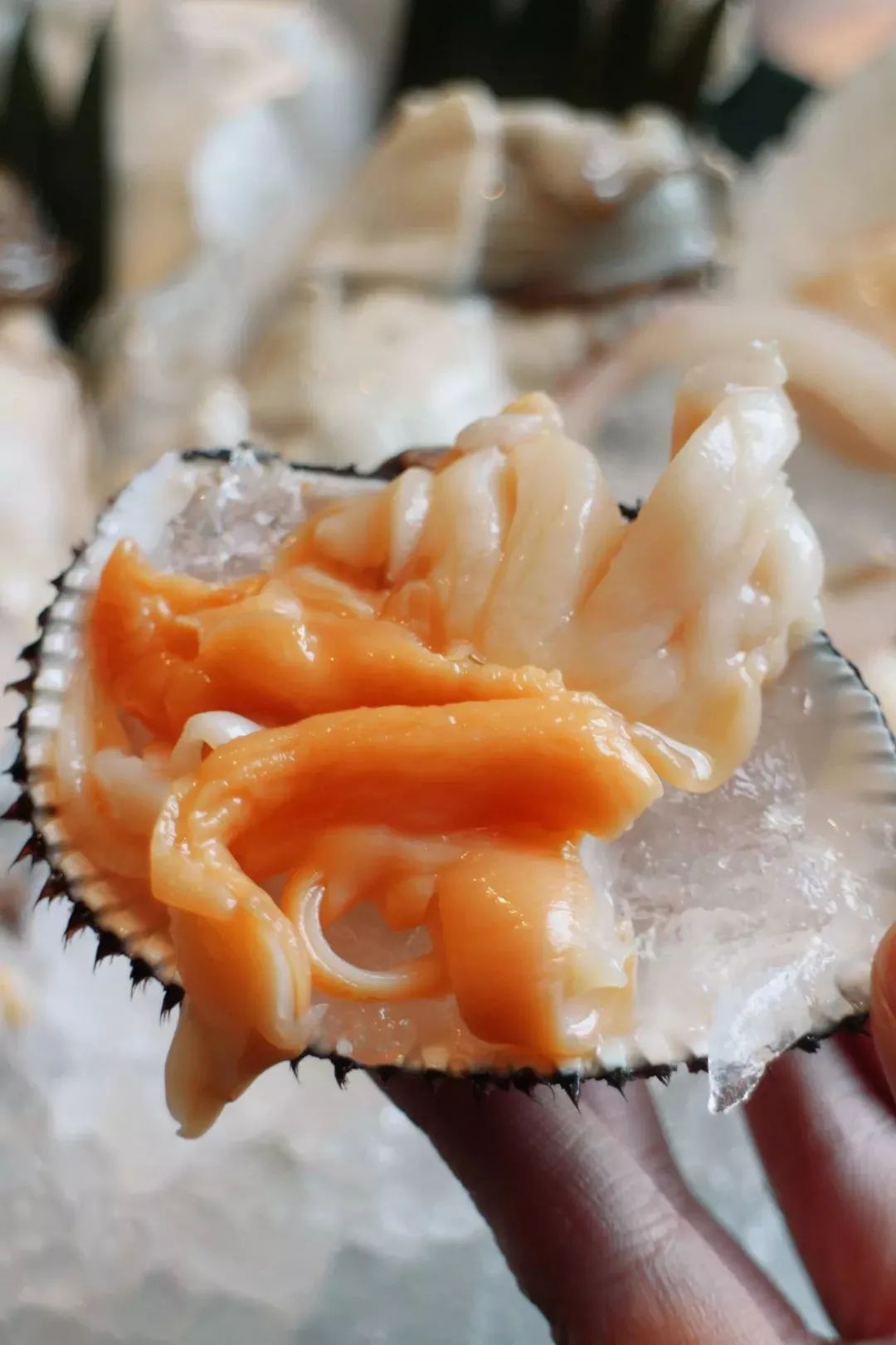 空降|空降的「泰式海鲜火锅」,—秒穿越到泰国