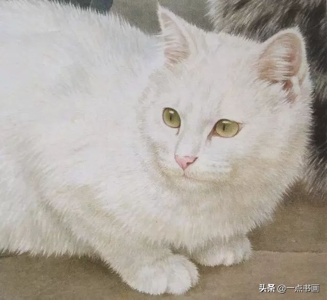 步骤|工笔猫的画法步骤