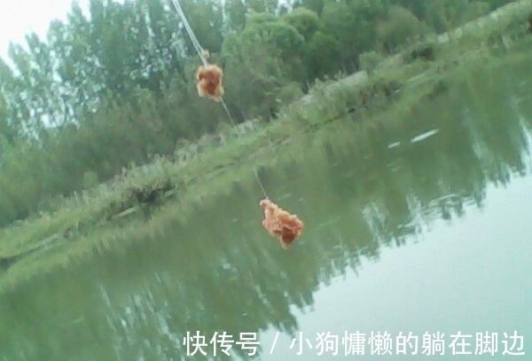 秋天鱼反而难钓不了解鱼的“套路”,鱼再多你也钓不到