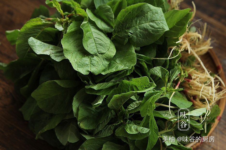 野菜|农村常见的野菜，钙铁含量比菠菜高，拌一拌就能吃，孩子猛长个