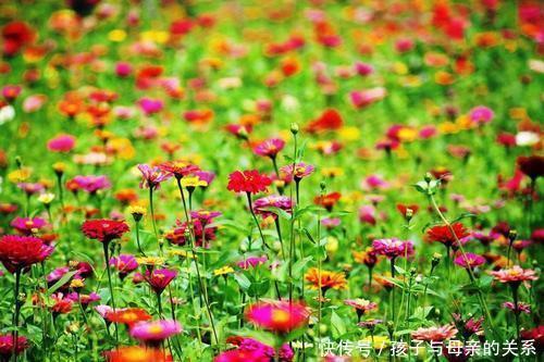 医生|失眠太痛苦!谷维素和维B好?医生:都不对,这 3种搭配效果更好