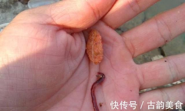 冬钓无口就收竿,难道你没用这3个策略?老钓手:一般人学不来