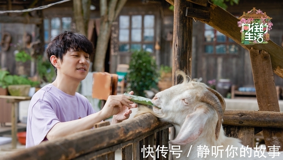 黄磊|《向往的生活》第五季向往的图书馆开业 刘晓邑木偶戏治愈暖心