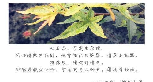 画堂春！纳兰性德十首经典凄美诗词，谁读后都会忧伤满怀