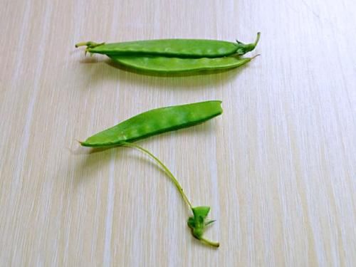  干净之后|荷兰豆和海鲜菇是“天生一对”，炒一炒，味道鲜美超下饭