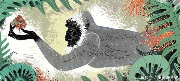 卫星拍到传说中的桥，跨度达48公里，还引发了七八年争吵