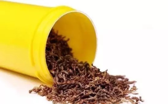 冬季别用蚯蚓,“3招”是钓鱼的关键,用上渔获翻2倍,越冷越上钩