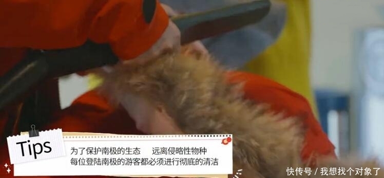 为什么我们登上南极大陆之前，要对衣物进行全面的消尘处理呢?