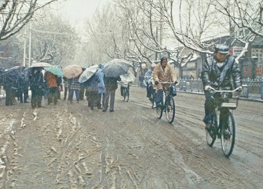 照片|冬至｜忆济南的冬雪，还记得这些济南下雪的老照片吗