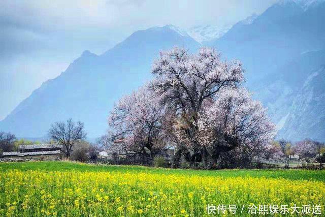 地方|一生必去的5个地方，就算没人陪也要去，你去过几个