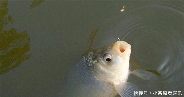  冬季|冬季天寒地冻鱼难钓，如何做到钓鱼淡季渔获不淡？给你5个建议