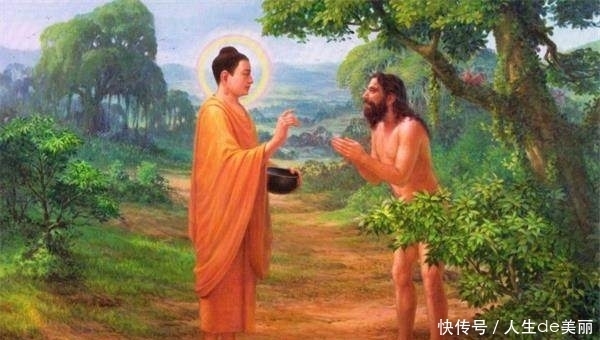 佛不杀生,草木算不算生命?在不在戒律之中?