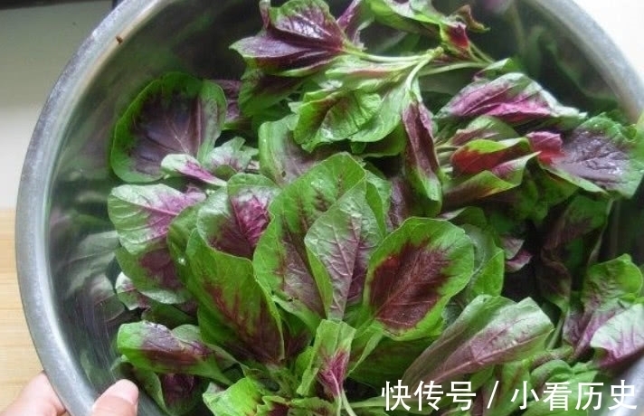 维生素b|这种野菜在家也能种植,吃它比羊肉还滋补,市场1斤还得12元