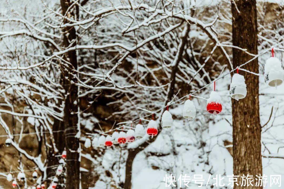 黑龙潭|寒冷冬日，出门暖心，云蒙山+黑龙潭带你解锁虎年新玩法！