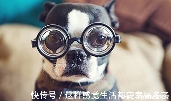 |笑话:老婆一听,一巴掌呼过来,说“谁允许你骂我老公了”!