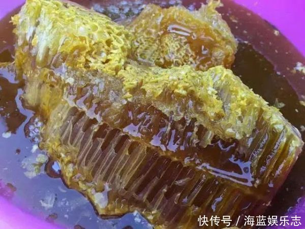  十大名贵山珍，第一比黄金还贵，第十是道家常菜，有你家乡的吗