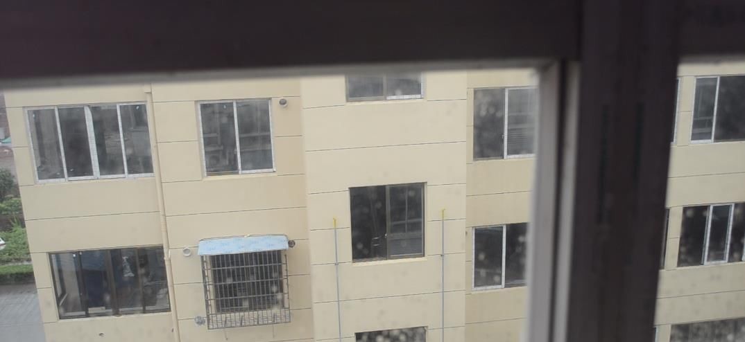 烟头加洗衣粉用水泡一下, 没想到还有这个作用, 看完你会感谢我的