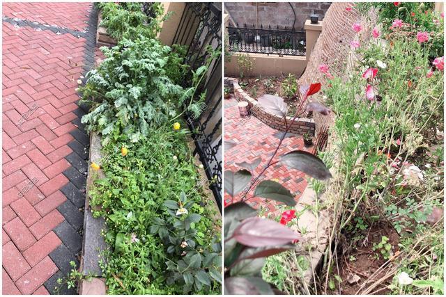 内装|为什么现在的5、60后,不爱社交,开始向往田园养老生活