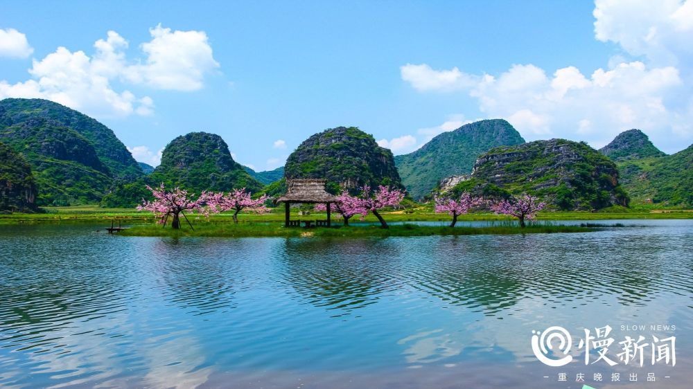 麻栗坡|多条精品文旅线路发布 《三生三世十里桃花》拍摄地邀你端午去耍