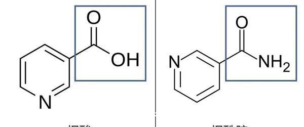 烟酰胺 烟酰胺导致面部长黑毛是真的吗对于烟酰胺的护肤误区！