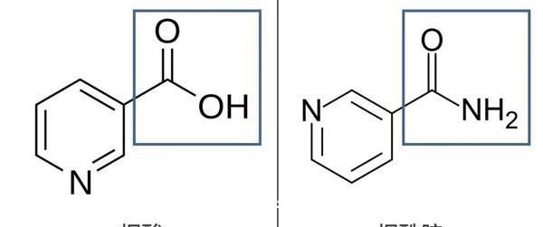 烟酰胺 烟酰胺导致面部长黑毛是真的吗对于烟酰胺的护肤误区!