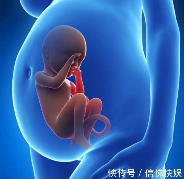 身体素质|孕妇打''催生针'',肚子里的胎儿是啥感觉不知道的,不妨看看