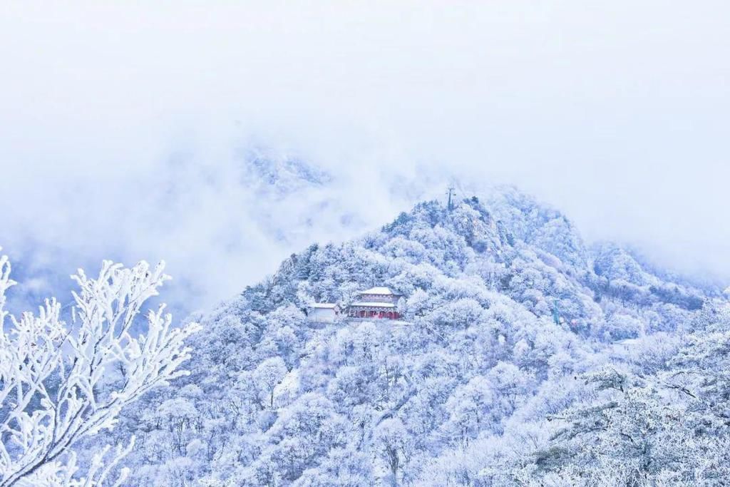 误入|点赞破百万的世界级雪景！雾凇云海，仿佛“误入天宫”！