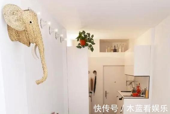 墙面|20㎡超小迷你房,日常生活功能区齐全,大胆又精致的设计