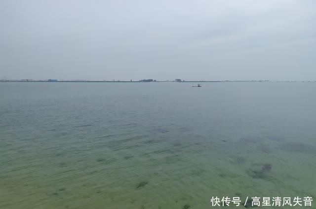 金海湾红树林几月最红