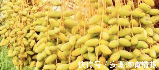 排毒|促进身体健康的食物,女人常吃,益气清肠、滋阴润肺,排毒消脂