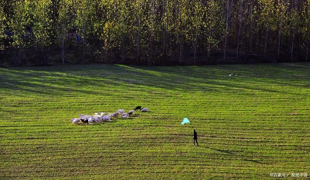 雪花|诗词:雪花扬，朔风吹，雁远航。塞门高卷处