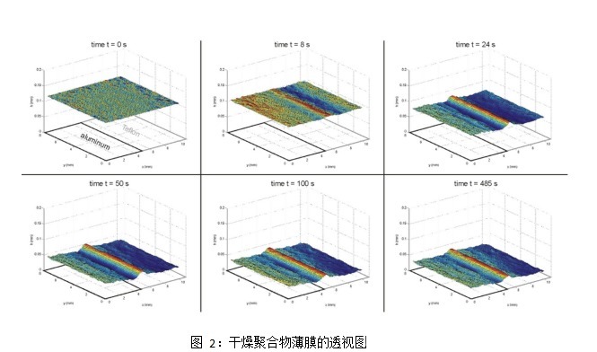 聚合物|《炬丰科技-半导体工艺》Marangoni干燥过程中的表面结构