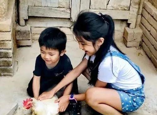 秒怂|二宝欲上前“捣乱”,被姐姐一个“眼神杀”吓退,乖怂表情亮了