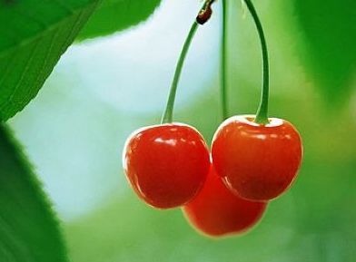 养心安神|会吃的人最长寿,三种食物要多吃,强筋骨,养心安神,早食早受益