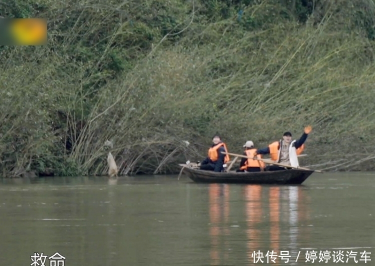 节目|《向往5》最懒嘉宾又来了，在节目种树种到“吐”，脾气都上来了