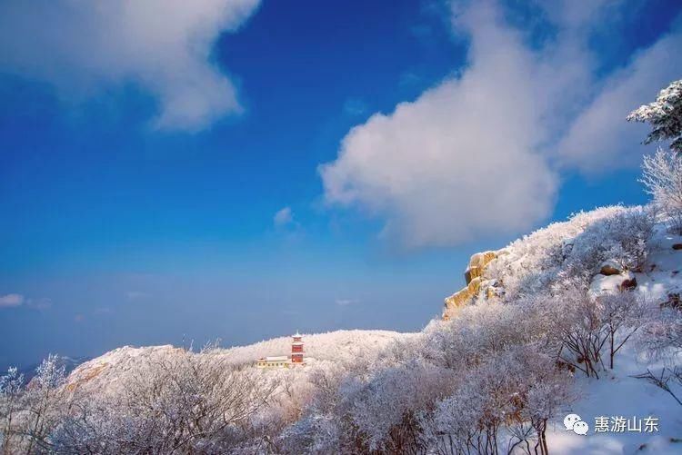 泰山银装素裹后石坞，雪松玉树赛仙境！