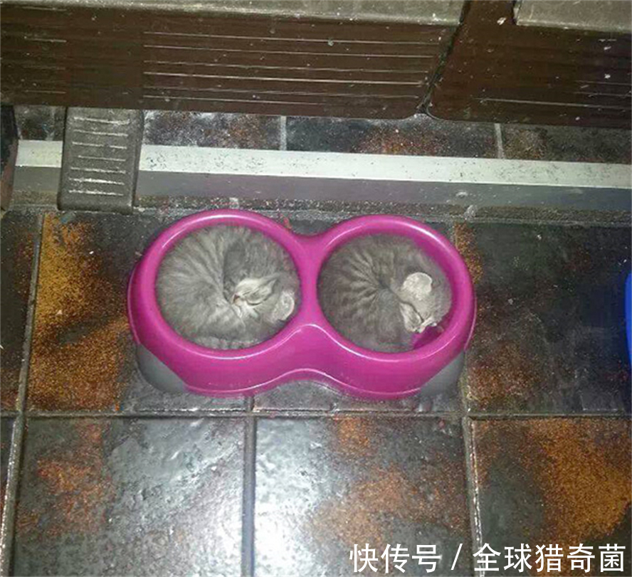 摄影|35张“活久见”的完美图片,强迫症瞬间被治愈了