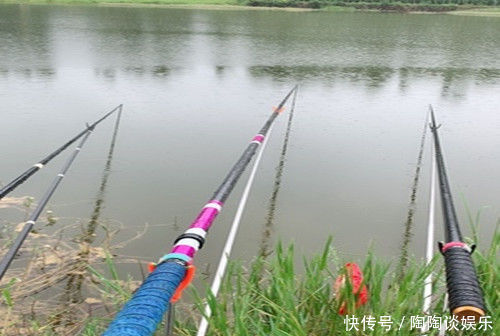 夏季野钓不上鱼怎么办老钓友告诉你三招,夏季野钓上鱼多