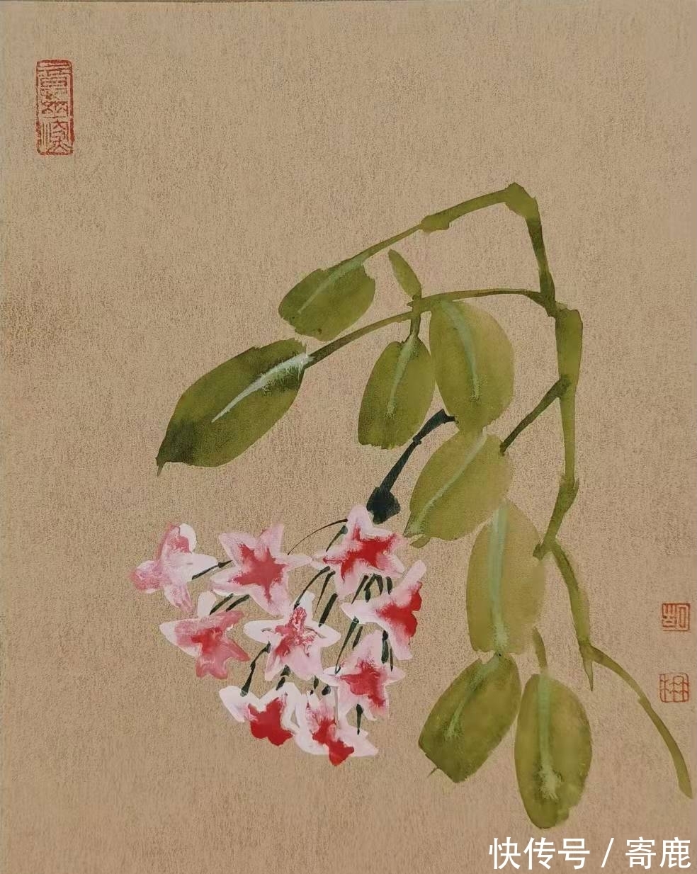 畅春!雅润天成|胡楠「花鸟画」