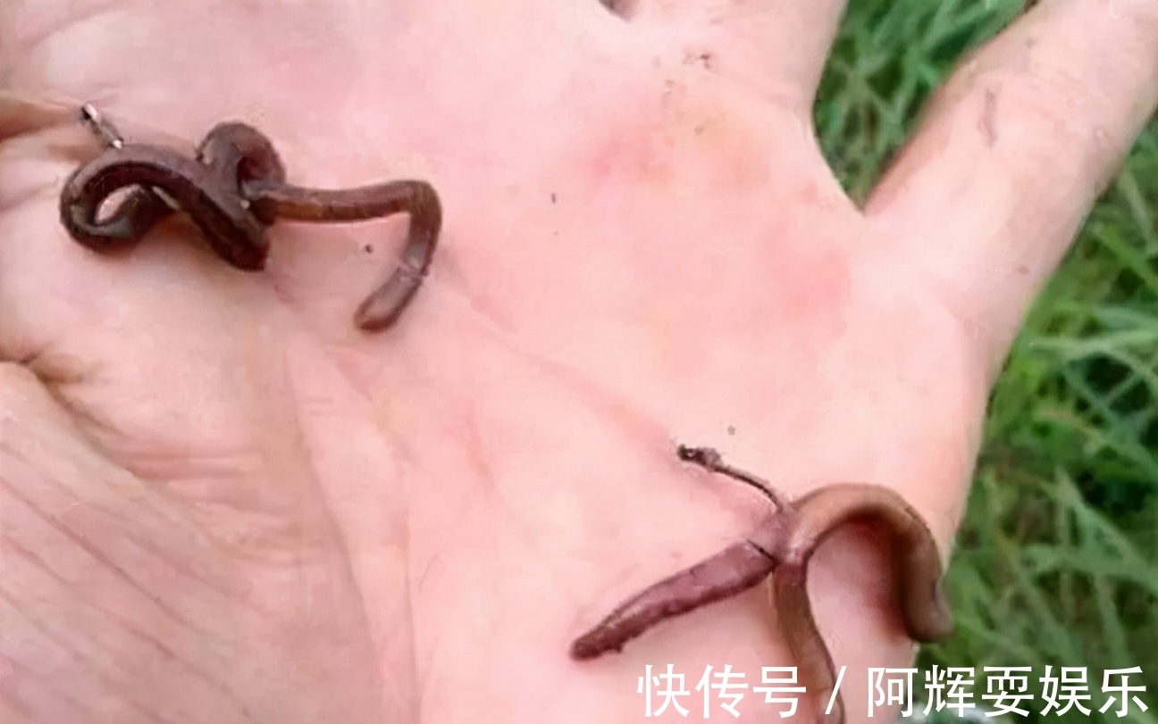 霜降之后就入冬,到底怎么做,才能让我们的渔获更好看一些