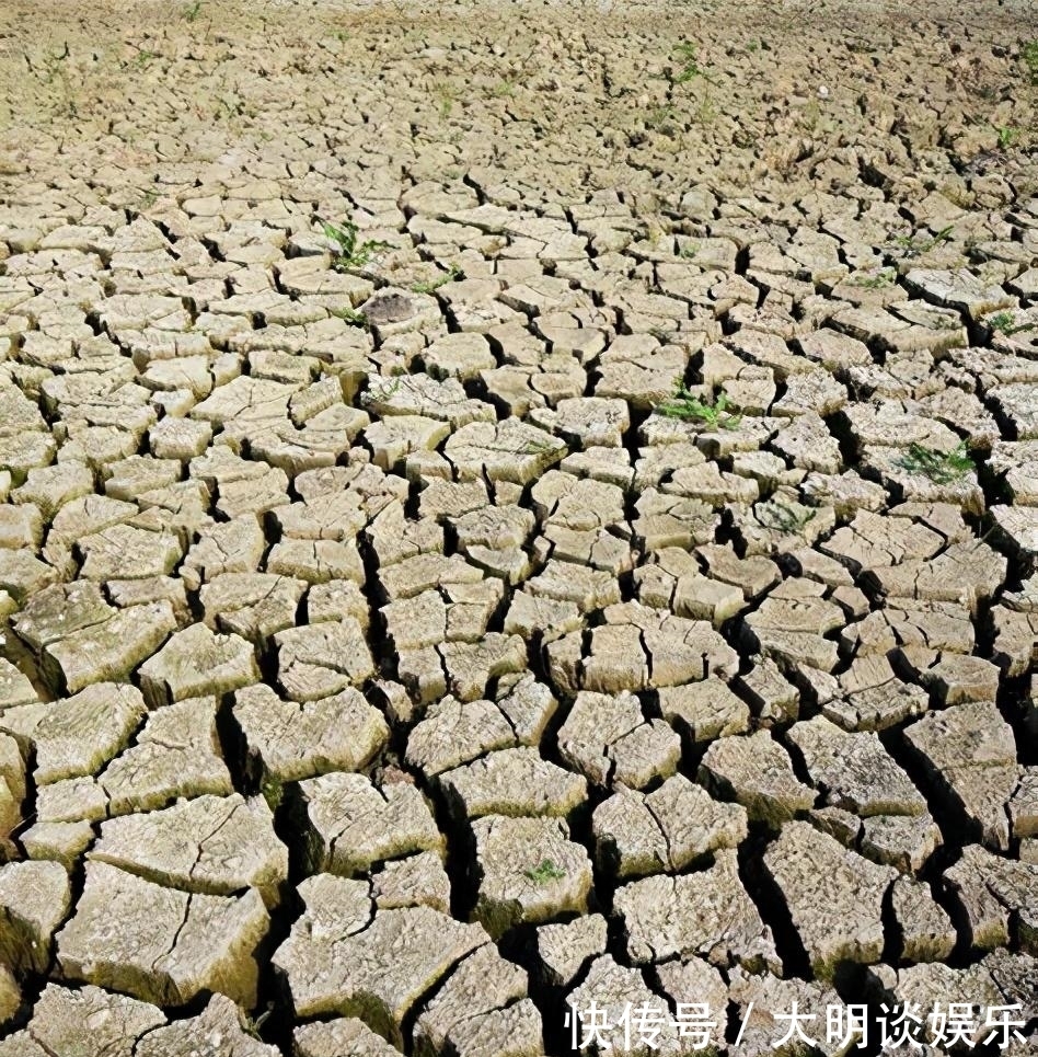 灾害|小冰期对明朝影响有多大?南方积雪一尺,旱涝灾害同发,生活太惨
