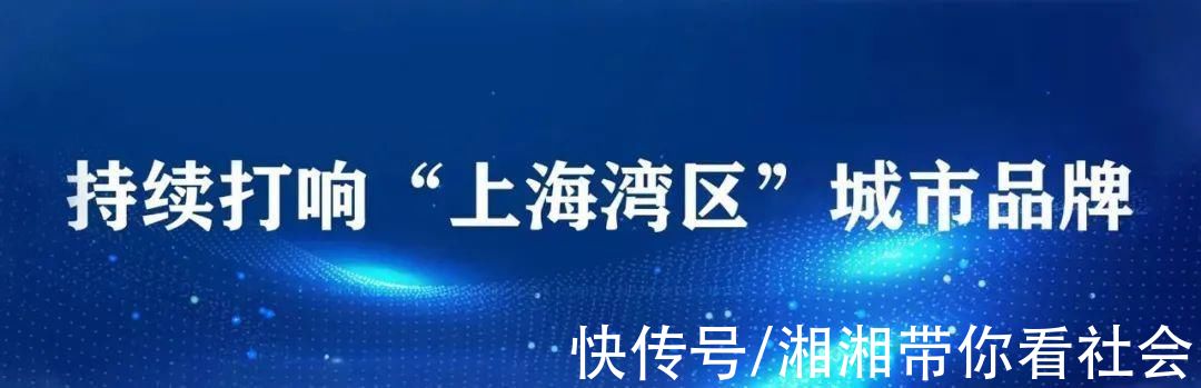 金山区人民政府|新一期征地公告来啦!这次涉及金山这里→