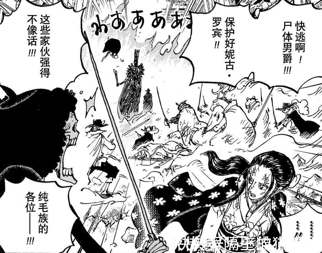 玛利亚|海贼王1031话,尾田不会重蹈覆辙!罗宾会跟布鲁克一起击败CP0