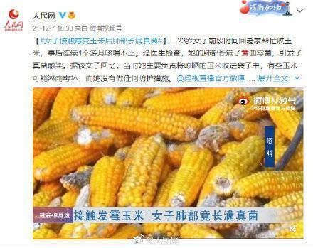 毒性|一图看懂黄曲霉素毒性到底有多大！