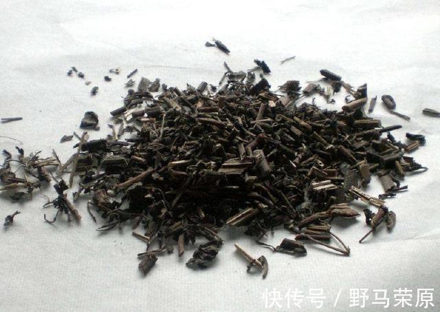 泡水|它曾用来喂猪,如今价值被开发,泡水喝对身体有好处,记得摘