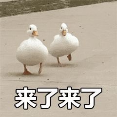 卢正雨回来了！反转不停，开弹幕看《大侠卢小鱼》收获一万点快乐