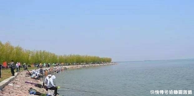 鱼儿|钓鱼二十年,如今才晓得,这三种鱼情的用漂“办法”,学会别外传