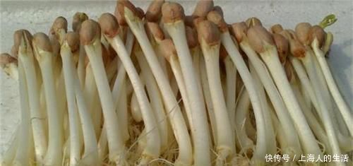 养护|女性不想老的快，推荐吃几种食物，降压减脂，养护皮肤，越吃越好